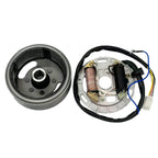 Kit de bobina de estator de encendido de bobina de motor magneto AX100 con plato para Suzuki 2 Tiempos 100cc AX100
