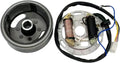 AX100 Magneto Motor Coil Ignition Magneto Stator Coil with Flywheel Rotor Kit with Plate for Suzuki 2 Stroke 100cc AX100