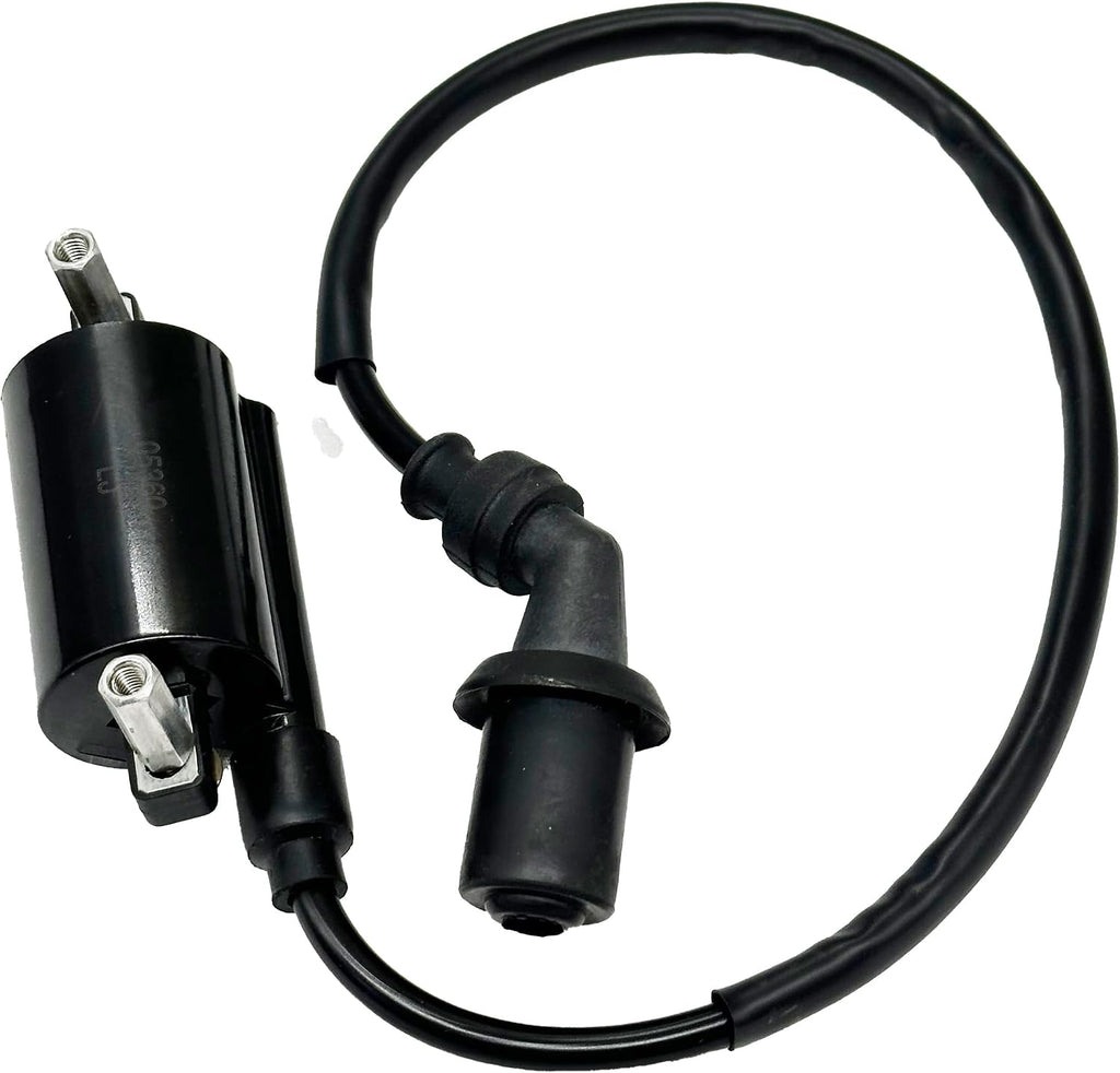 Motorcycle Scooter Ignition Coil Assy CompatibleFor Suzuki Gn125